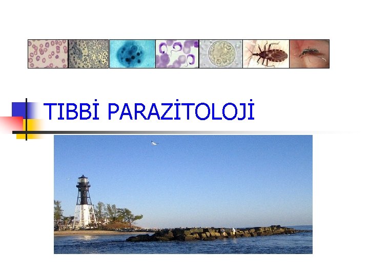 TIBBİ PARAZİTOLOJİ 