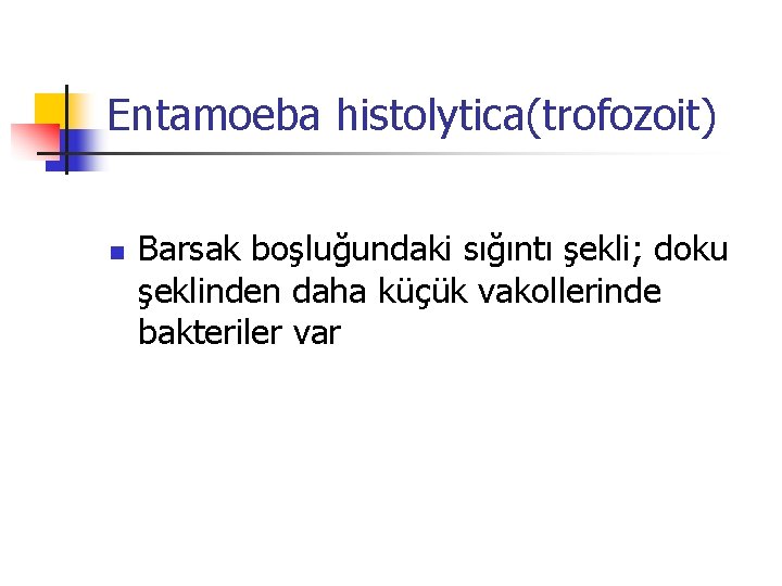 Entamoeba histolytica(trofozoit) n Barsak boşluğundaki sığıntı şekli; doku şeklinden daha küçük vakollerinde bakteriler var
