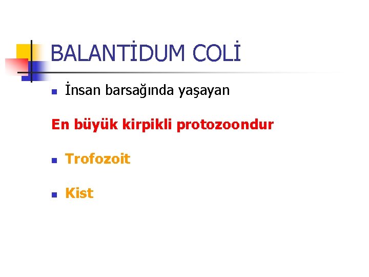 BALANTİDUM COLİ n İnsan barsağında yaşayan En büyük kirpikli protozoondur n Trofozoit n Kist