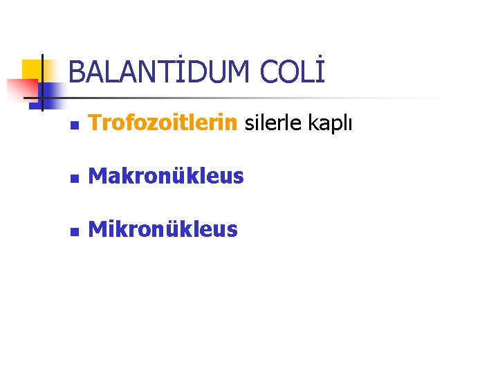 BALANTİDUM COLİ n Trofozoitlerin silerle kaplı n Makronükleus n Mikronükleus 