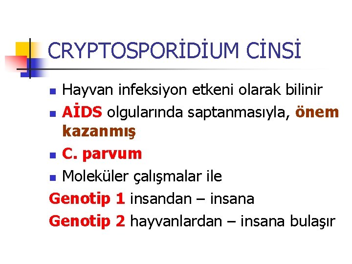 CRYPTOSPORİDİUM CİNSİ Hayvan infeksiyon etkeni olarak bilinir n AİDS olgularında saptanmasıyla, önem kazanmış n