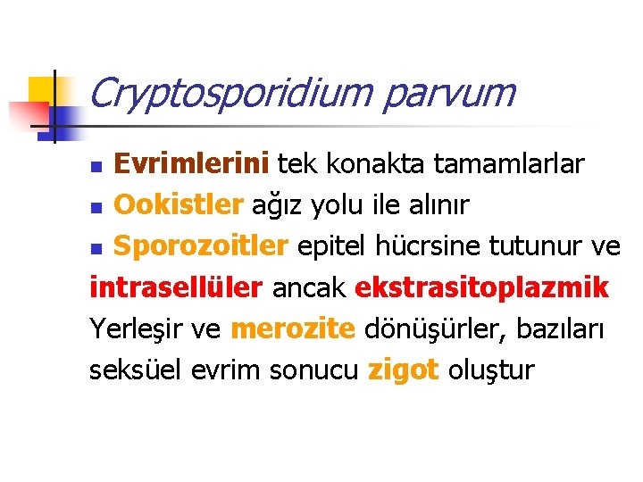 Cryptosporidium parvum Evrimlerini tek konakta tamamlarlar n Ookistler ağız yolu ile alınır n Sporozoitler