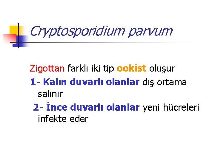 Cryptosporidium parvum Zigottan farklı iki tip ookist oluşur 1 - Kalın duvarlı olanlar dış