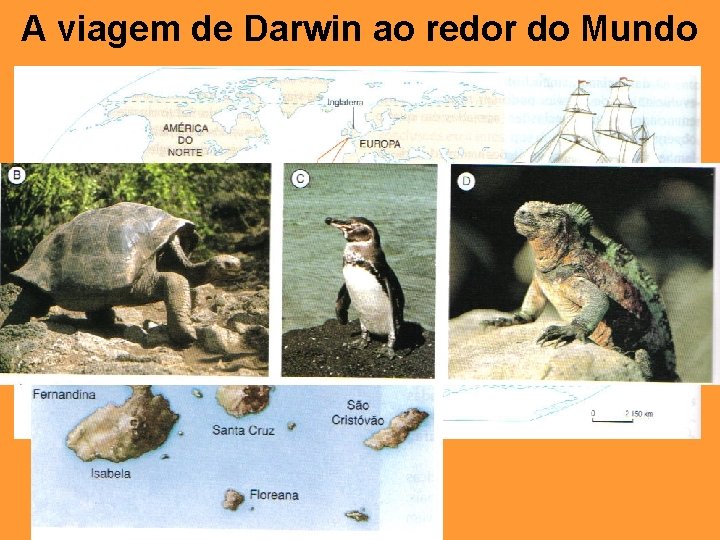 A viagem de Darwin ao redor do Mundo 