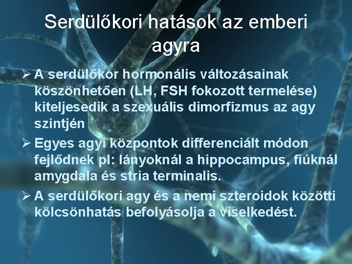 Serdülőkori hatások az emberi agyra Ø A serdülőkor hormonális változásainak köszönhetően (LH, FSH fokozott