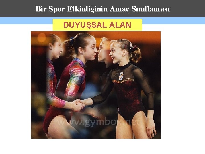 Bir Spor Etkinliğinin Amaç Sınıflaması DUYUŞSAL ALAN 