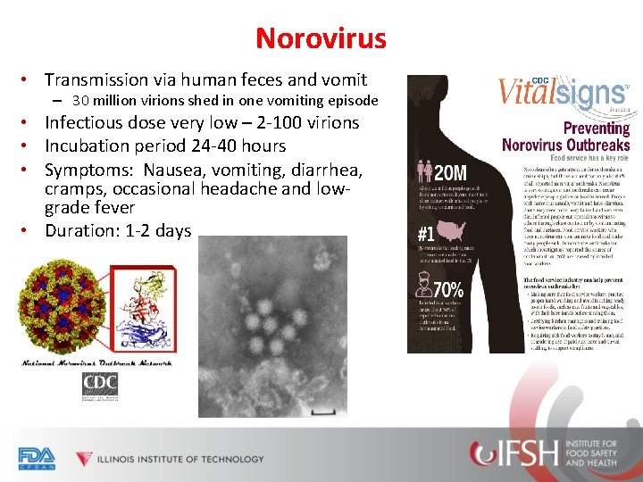 Norovirus • Transmission via human feces and vomit – 30 million virions shed in