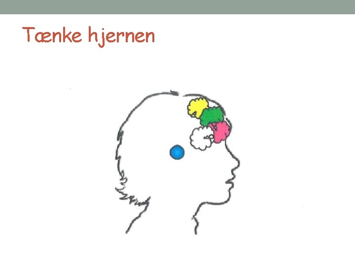 Tænke hjernen 