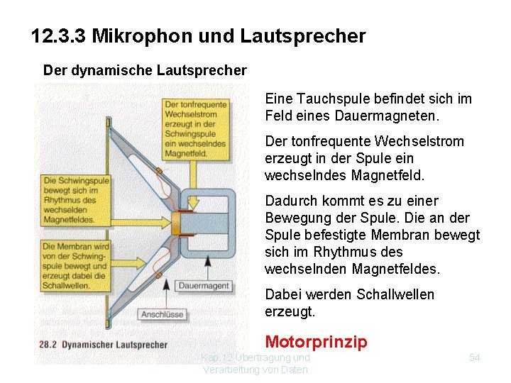 12. 3. 3 Mikrophon und Lautsprecher Der dynamische Lautsprecher Eine Tauchspule befindet sich im