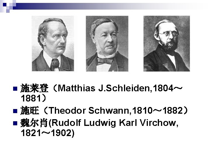 施莱登（Matthias J. Schleiden, 1804～ 1881） n 施旺（Theodor Schwann, 1810～ 1882） n 魏尔肖(Rudolf Ludwig Karl