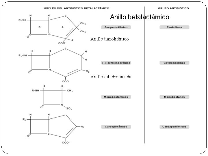 Anillo betalactámico Anillo tiazolidínico Anillo dihidrotiazida 