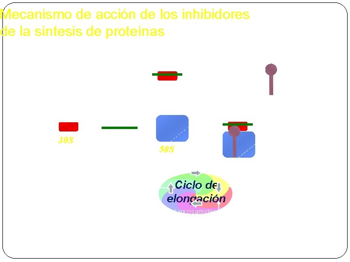 Mecanismo de acción de los inhibidores de la síntesis de proteínas Linezolid (PNU 100766)