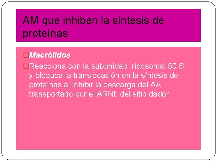 AM que inhiben la síntesis de proteínas �Macrólidos �Reacciona con la subunidad ribosomal 50