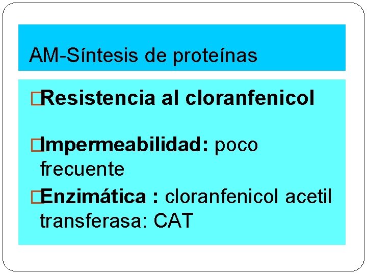AM-Síntesis de proteínas �Resistencia al cloranfenicol �Impermeabilidad: poco frecuente �Enzimática : cloranfenicol acetil transferasa: