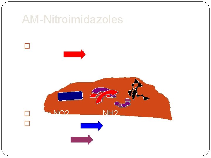 AM-Nitroimidazoles �Reducción del grupo nitro en ausencia de oxígeno bacterias anaerobias O 2 �Grupo