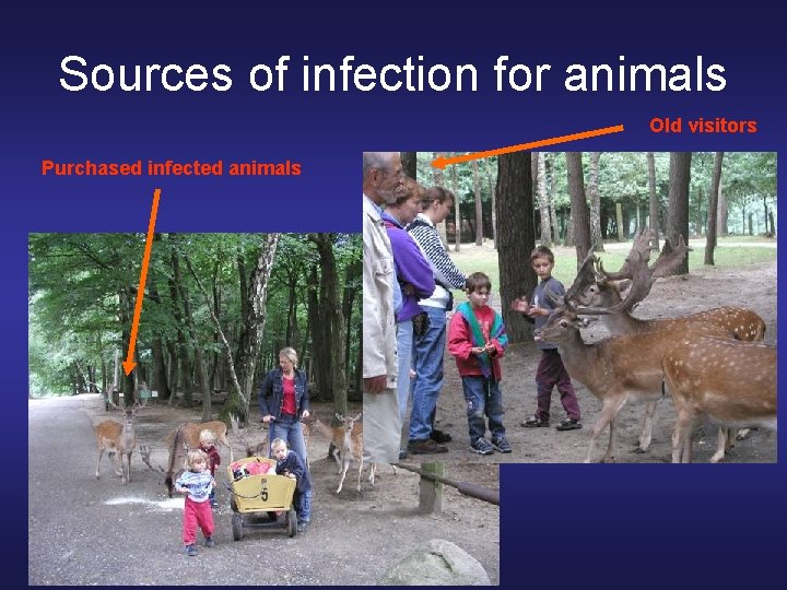 Sources of infection for animals Old visitors Purchased infected animals Sources of infection for animals Old visitors Purchased infected animals