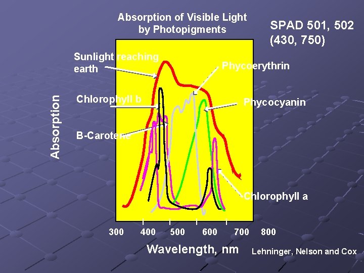 Absorption of Visible Light by Photopigments Absorption Sunlight reaching earth SPAD 501, 502 (430,