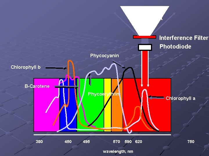 White Light Interference Filter Photodiode Phycocyanin Chlorophyll b B-Carotene Phycoerythrin 380 450 495 570