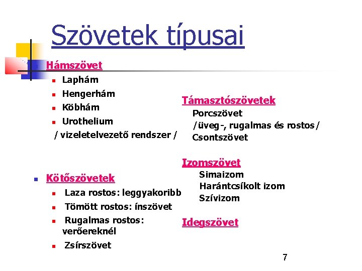 Szövetek típusai Hámszövet Laphám Hengerhám Köbhám Urothelium / vizeletelvezető rendszer / Támasztószövetek Porcszövet /üveg-,