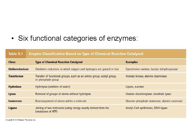  • Six functional categories of enzymes: 