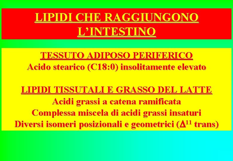 LIPIDI CHE RAGGIUNGONO L’INTESTINO TESSUTO ADIPOSO PERIFERICO Acido stearico (C 18: 0) insolitamente elevato