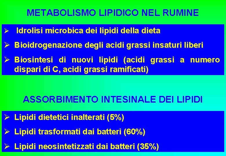 METABOLISMO LIPIDICO NEL RUMINE Ø Idrolisi microbica dei lipidi della dieta Ø Bioidrogenazione degli