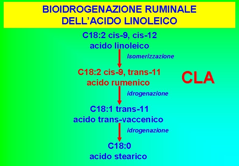 BIOIDROGENAZIONE RUMINALE DELL’ACIDO LINOLEICO C 18: 2 cis-9, cis-12 acido linoleico Isomerizzazione C 18: