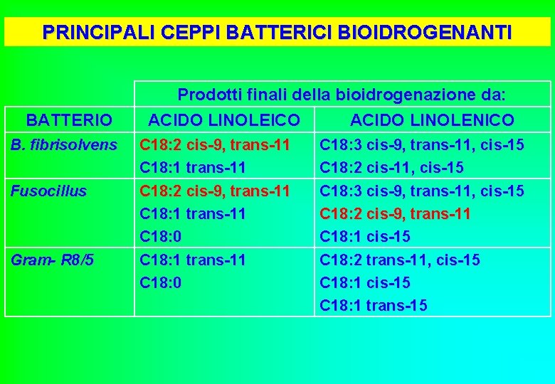 PRINCIPALI CEPPI BATTERICI BIOIDROGENANTI BATTERIO B. fibrisolvens Fusocillus Gram- R 8/5 Prodotti finali della