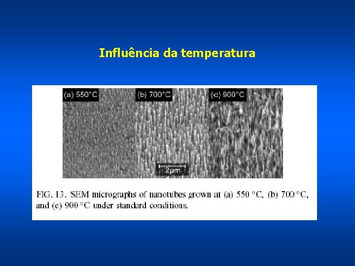 Influência da temperatura 