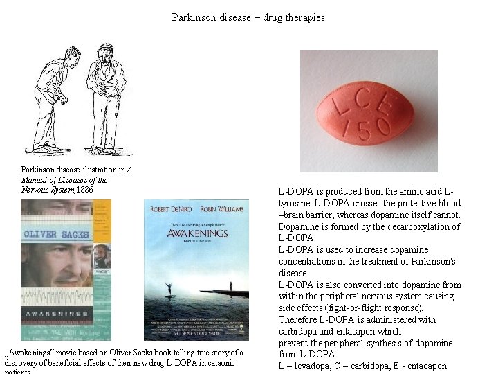 Parkinson disease – drug therapies Parkinson disease ilustration in A Manual of Diseases of