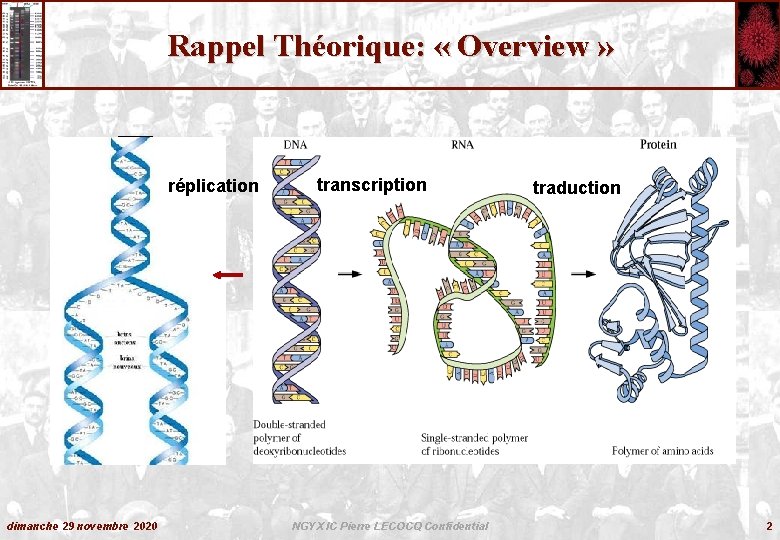 Rappel Théorique: « Overview » transcription réplication dimanche 29 novembre 2020 transcription NGYX IC