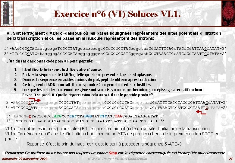 Exercice n° 6 (VI) Soluces VI. 1. VI. Soit le fragment d’ADN ci-dessous où