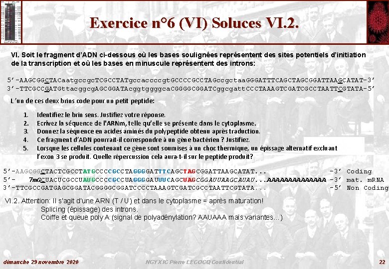 Exercice n° 6 (VI) Soluces VI. 2. VI. Soit le fragment d’ADN ci-dessous où