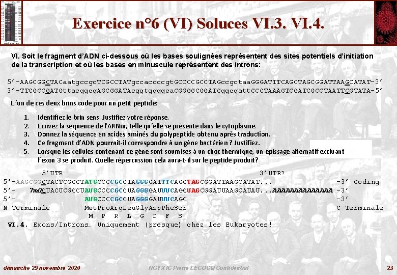 Exercice n° 6 (VI) Soluces VI. 3. VI. 4. VI. Soit le fragment d’ADN