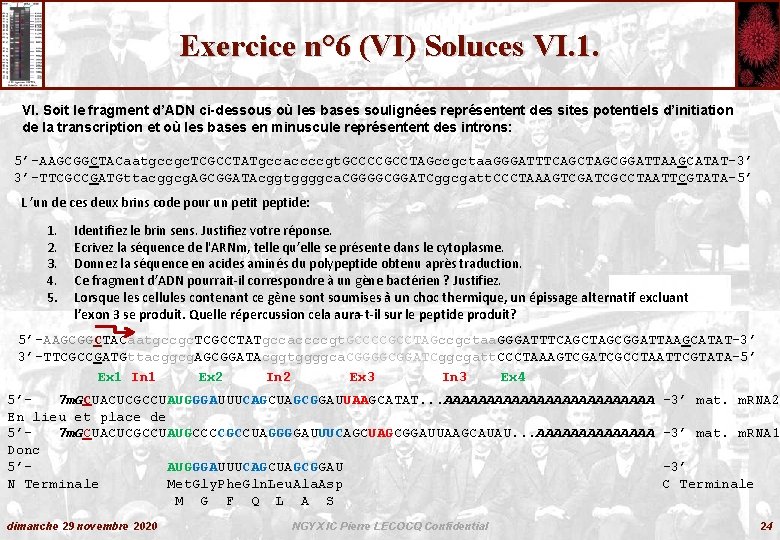 Exercice n° 6 (VI) Soluces VI. 1. VI. Soit le fragment d’ADN ci-dessous où