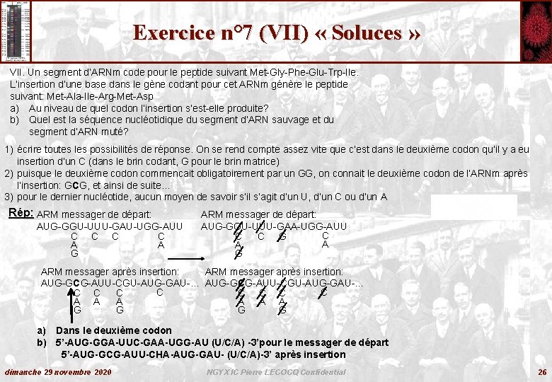 Exercice n° 7 (VII) « Soluces » VII. Un segment d’ARNm code pour le