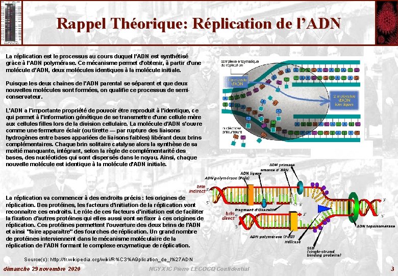 Rappel Théorique: Réplication de l’ADN La réplication est le processus au cours duquel l'ADN