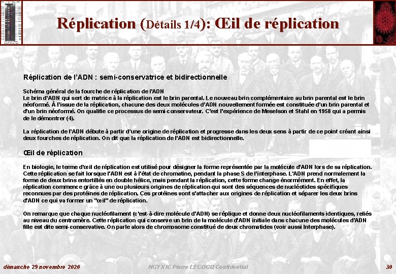 Réplication (Détails 1/4): Œil de réplication Réplication de l’ADN : semi-conservatrice et bidirectionnelle Schéma