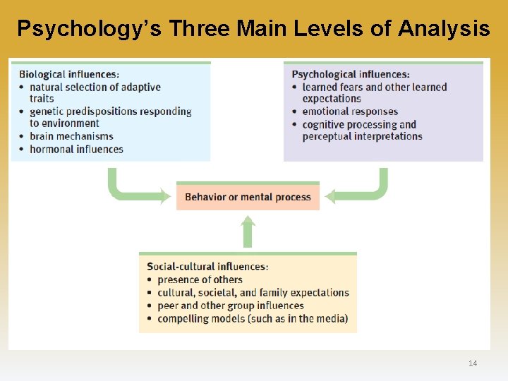 Psychology’s Three Main Levels of Analysis 14 