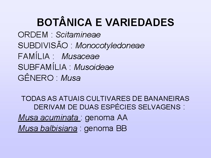 BOT NICA E VARIEDADES ORDEM : Scitamineae SUBDIVISÃO : Monocotyledoneae FAMÍLIA : Musaceae SUBFAMÍLIA