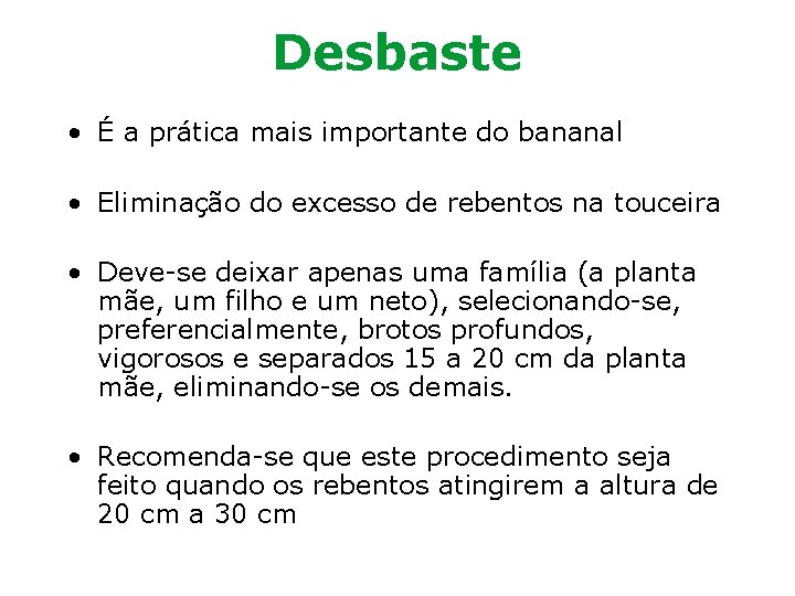 Desbaste • É a prática mais importante do bananal • Eliminação do excesso de