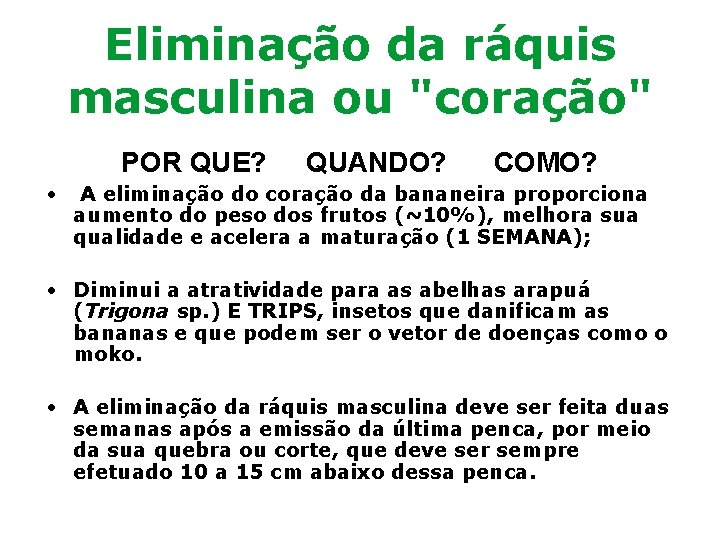 Eliminação da ráquis masculina ou "coração" POR QUE? • QUANDO? COMO? A eliminação do