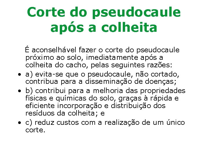 Corte do pseudocaule após a colheita É aconselhável fazer o corte do pseudocaule próximo