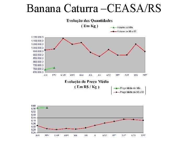Banana Caturra –CEASA/RS 
