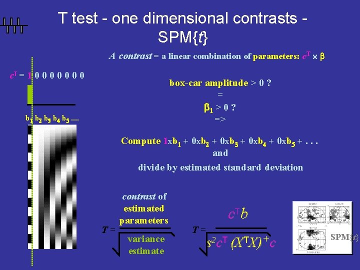 T test - one dimensional contrasts SPM{t} A contrast = a linear combination of