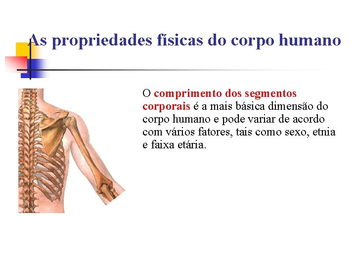 As propriedades físicas do corpo humano O comprimento dos segmentos corporais é a mais