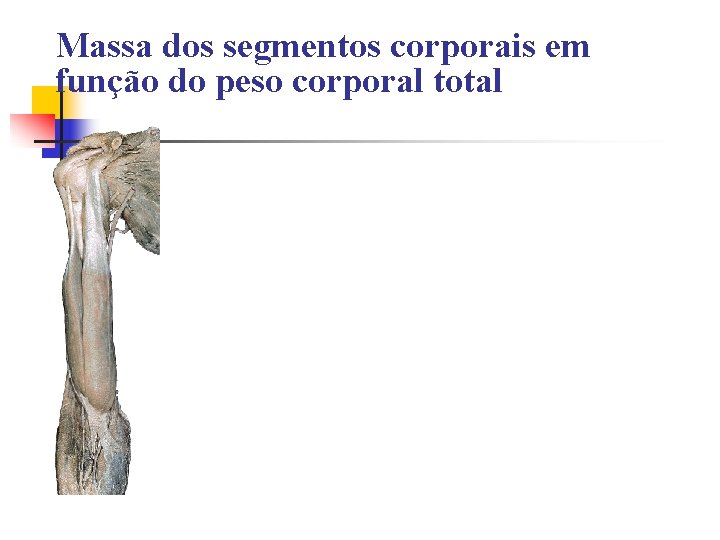 Massa dos segmentos corporais em função do peso corporal total 