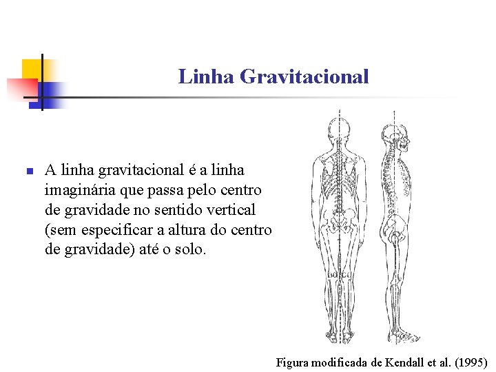 Linha Gravitacional n A linha gravitacional é a linha imaginária que passa pelo centro