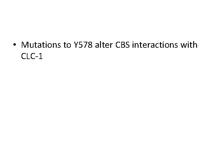  • Mutations to Y 578 alter CBS interactions with CLC-1 