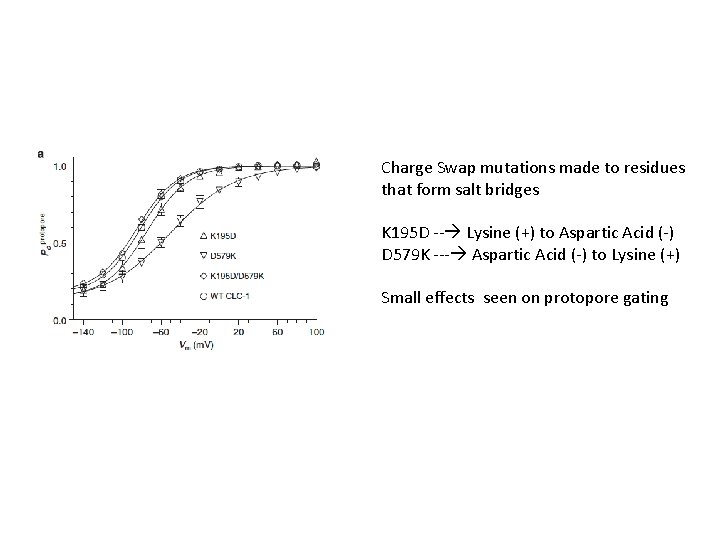 Charge Swap mutations made to residues that form salt bridges K 195 D --